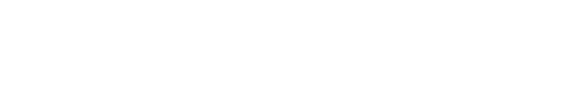 Tiggo 9